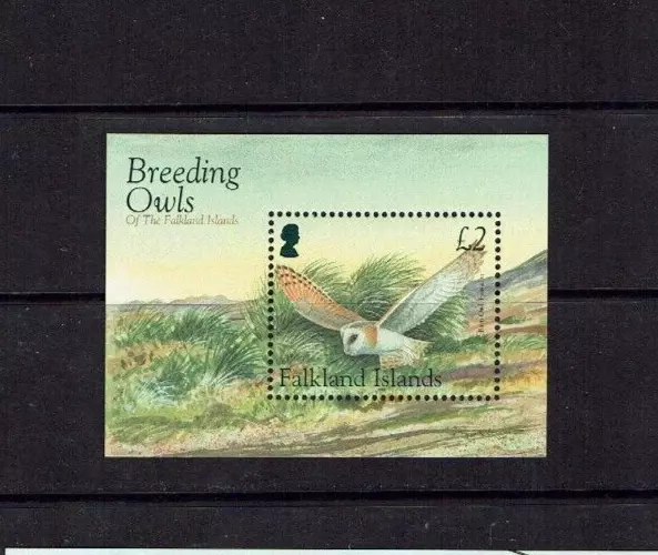 Falkland Islands: 2004 Breeding Owls,  MNH  M/S - Image 1 of 1