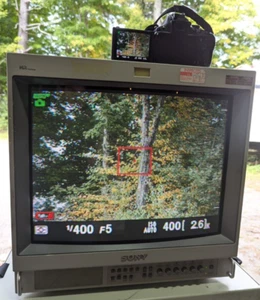 Sony PVM-1953ST High Resolution HR Trinitron 19" Professional Video Monitor - Picture 1 of 19