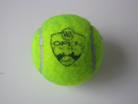 Western & Southern Open Cincinnati ATP Tournament MATCH USED Tennis Ball Tour 1 Cover