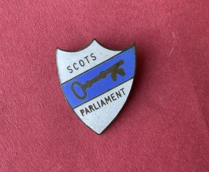 Vintage Scots Parliament Enamel PiN Badge Scottish Government Key Political - Picture 1 of 6