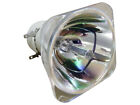 PHILIPS lampe de projecteur pour OPTOMA SP.72701GC01 BL-FU260B
