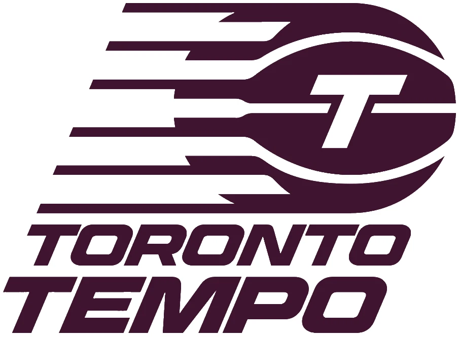 Toronto Tempo 4 Inch WNBA Color Die-Cut Decal Sticker *Free Shipping