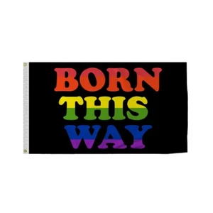 PromoPatriot's Born This Way Pride Flag - Multi Size Variation - Celebrate Pride - Picture 1 of 9