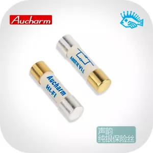 Fusión lenta de plata esterlina fusible Aucharm HIFI CD tubo amplificador audio 5x20mm - Imagen 1 de 4