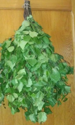 BIRCH ECO venik broom whisk SAUNA berjoza banja NEW SEASON 2025 FREE SHIPPING - Image 1 of 4