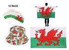 Euro Pays de Galles drapeau dragon gallois, drapeaux de voiture, chapeaux colorants, etc.