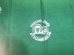 Eskimo Joes Stillwater Oklahoma OK Green Bandanna Handkerchief OSU Vintage - Picture 1 of 7