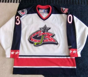 Vintage Marc Denis Columbus Blue Jackets Stitched Jersey Hockey #30 CCM Large - Picture 1 of 8