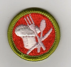 Retirado - Insignia de mérito de cocina (borde verde), parte posterior de plástico tipo H (1972-02) como nueva - Imagen 1 de 1