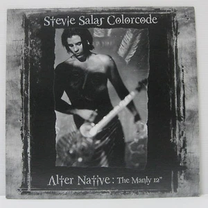 Stevie Salas Colorcode - Alter Native LP 1996 ORIG Red Color Vinyl RAY VAUGHAN - Picture 1 of 2