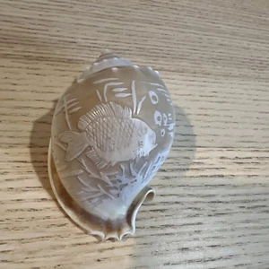Art Carved Cowrie Shell - Fish  - Etched Souvenir 3” - Picture 1 of 5