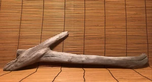 Beautiful 19" DRIFTWOOD Piece Terrarium Aquascape Floral Decor Crafts Art - Picture 1 of 12