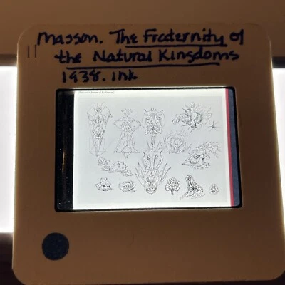 Andre Masson “Fraternidad del Reino Natural” Surrealismo Francés 35mm Diapositiva Foto 1 de 3