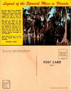 Postal de musgo español vintage jardines de ciprés Florida color escénico sin publicar - Imagen 1 de 1
