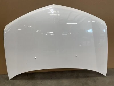 ACURA MDX 2010-2013 CAPÓ CAPÓ PANEL CUBIERTA MOTOR OEM LOTE 591 Foto 1 de 4