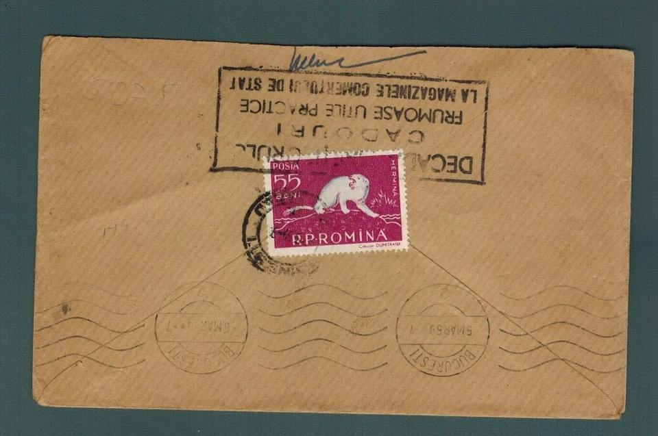 Cubierta Rumania 1959 Armiño (Mustela Erminea) Fauna del Danubio Delta C Foto 1 de 2