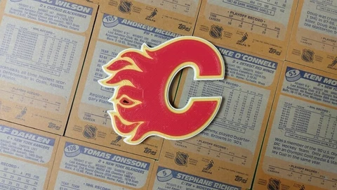 NHL Calgary Flames Refrigerator Magnet Cover