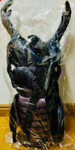 Mochila Insectos Solo Ciervo Gigante Escarabajo Bolso Grande Peluche Nuevo Tamaño 55 cm 21,7 pulgadas - Imagen 1 de 6