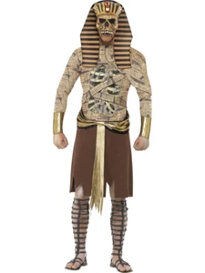 Adult Zombie Pharaoh Costume Mens Egyptian Halloween Mummy Fancy Dress M,L - Picture 1 of 6