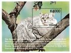 Zambia 1999 - Cats of The World Persian - Souvenir Sheet - Scott 802 - MNH