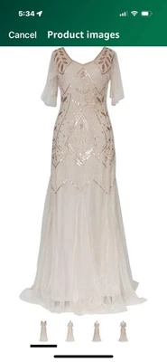 1920s Art Deco Sequin Maxi Dress, Vintage V-Neck Tulle Sleeves, Long Gown - Image 1 of 4