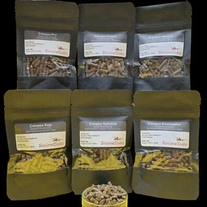 (13,3€/100g) ShrimpTastic BlackLine 30g / Camarón Alimento Minerales Marino - Imagen 1 de 8