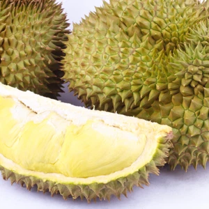 BeauFlora Híbrido Durian (Tanga Mon, Plántula) Exótica 1 Planta de Raíz Desnuda - Imagen 1 de 3
