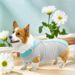 Mesh Dog Cooling Vest Thin Fabric Pet Costumes For Small Medium Large Dogs - Picture 1 of 14