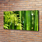 Leinwandbild Kunst-Druck 120x60 Bilder Blumen & Pflanzen Bambus