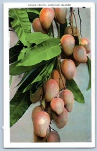 CARTOLINA ANNI '20 FRUTTI DI MANGO TERRITORIO HAWAII ISOLA CURIO CO - Foto 1 di 2