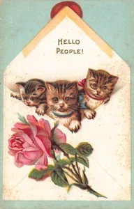 Postal: ¡Hola gente! , Gatitos y una rosa, DB 1910's - Imagen 1 de 2
