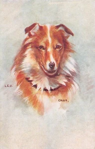 POSTKARTE HUNDE COLLIE - Bild 1 von 2