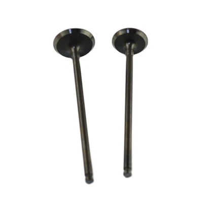 1 Pair Intake Exhaust Valves Stem Kit For 1997-2010 /Kawasaki KL250 Super Sherpa Foto 1 de 2
