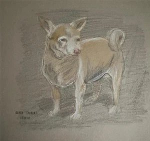 OLWEN TARRANT 1927-2012 ORIGINAL WATERCOLOUR & PASTEL DOG PORTRAIT CHIHUAHUA - Picture 1 of 1