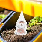  Garden Gnome Dwarf Ornaments Statue Live Succulents Plants Decorate