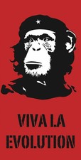 VIVA LA EVOLUTION - SLIM POSTER 12x24 - CHIMP MONKEY 53323