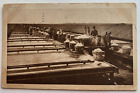 1912 Ny Postcard Syracuse New York Solar Salt Works Workers Horses Vintage Sepia