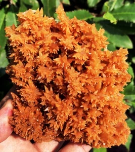 386.5g TOP!!! New Find Raw Natural Brown Jiejingshi Crystal Specimens ie3099 - Picture 1 of 13