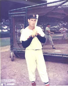 Ted Williams Boston Red Sox Outfield Color 8 x 10 Photo HOF 500 Home Run Club - Picture 1 of 1