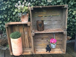 Massive - gebrauchte Gemüse- Obstkiste - Regal Holzkiste - Shabby - Bild 1 von 4