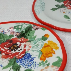 2 Pioneer Woman Country Garden Floral 8.5 Inch Salad Plates (As Is See Photos) - Picture 1 of 7