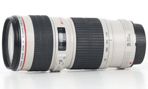 Canon 70-200mm f4L USM - Imagen 1 de 8