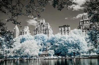 Nikon D80 infrarrojo estándar - DSLR convertida + lente NIKKOR 18–135 mm f/3,5–5,6  Foto 1 de 4