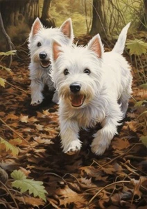 WEST HIGHLAND WHITE TERRIER WESTIE DOG GREETINGS NOTE CARD CUTE DOGS RUNNING - Picture 1 of 1