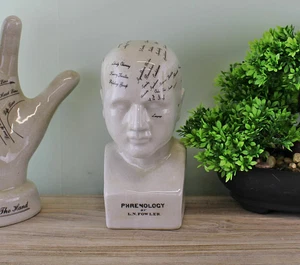 Phrenology Head Bust Scuplpture Ornament Ceramic Home Decor White Small 19cm - Picture 1 of 5