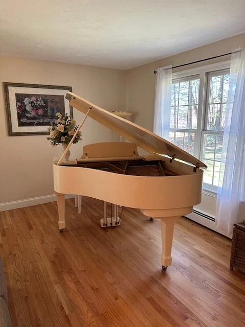 Piano de cola HYUNDAI bebé blanco usado.  25 años. Modelo/Serie # G-80A Foto 1 de 4