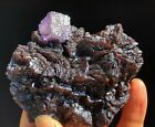 Super Bright Purple Floutite Crystal On Sphalerite Mineral From Elmwood Mine,Tn