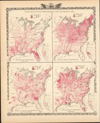 1876 United States Agriculture & Vitality map antique ~ 17.3" x 13.8" hand color - Image 1 of 4