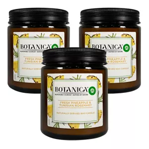 3x Air Wick Botanica Duftkerze Fresh Pineapple & Tunesischer Rosmarin 205g - Bild 1 von 1
