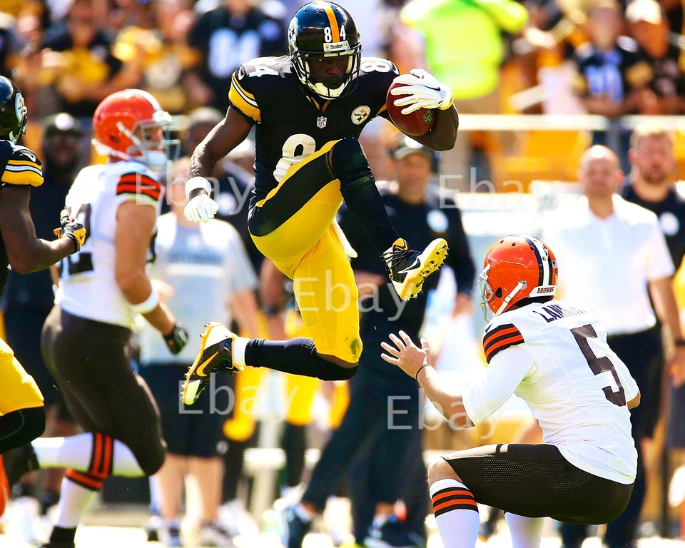 Antonio Brown - Antiguo receptor ancho Steelers reimpresión de fotos 10X8 Foto 1 de 1